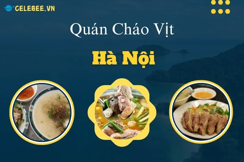 kham-pha-10-quan-chao-vit-ha-noi-ngon-nhat-tai-cac-dia-chi-noi-tieng