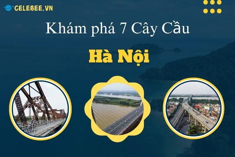 kham-pha-7-cay-cau-ha-noi-nhat-tan-dong-tru-thang-long-thanh-tri-vinh-tuy