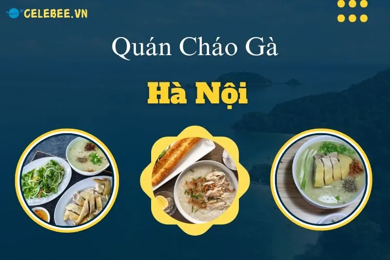 top-15-quan-chao-ga-ha-noi-ngon-nuc-tieng-ba-cu-nhat-chao-va-nhieu-hon